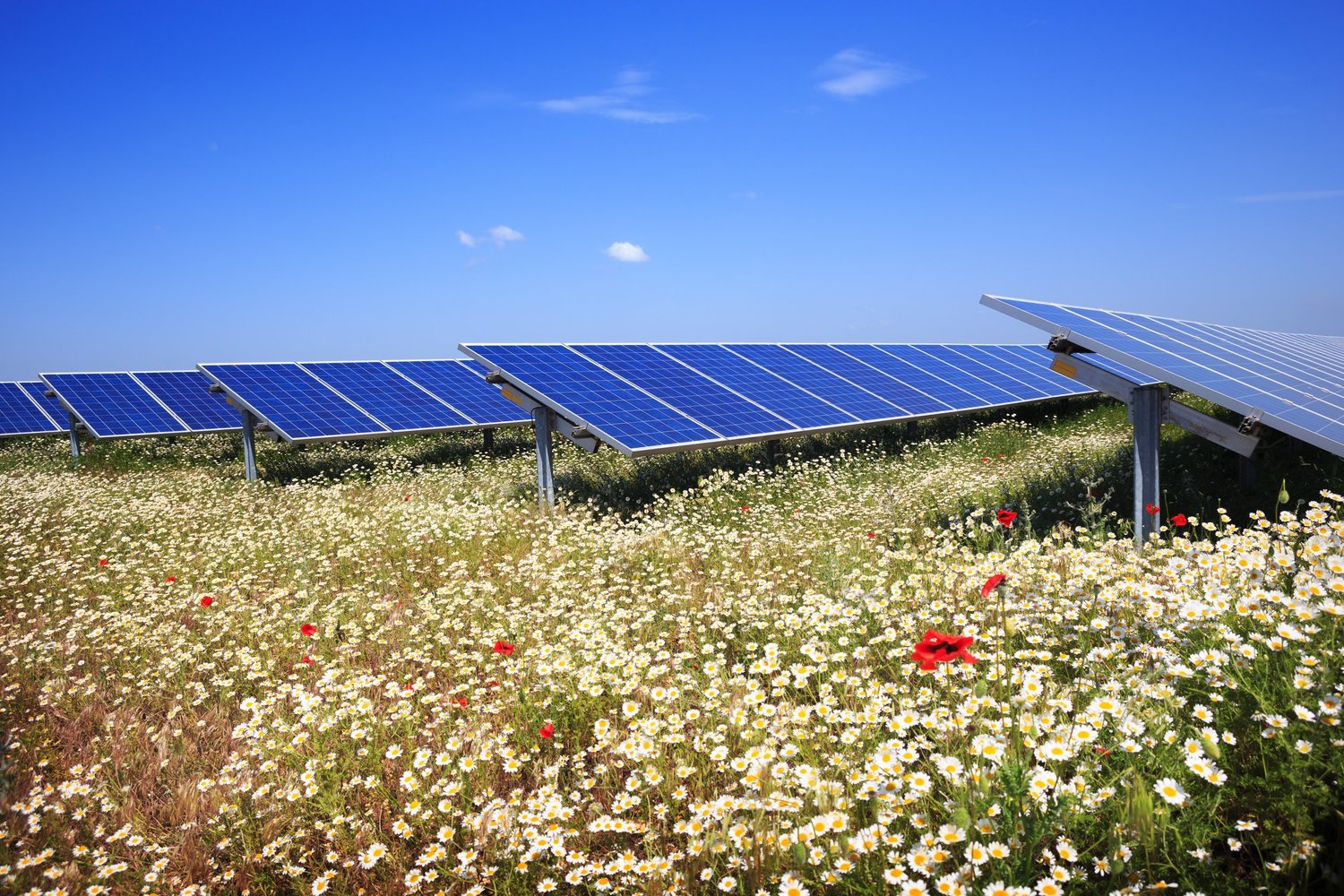 Solar panels on a residential roof